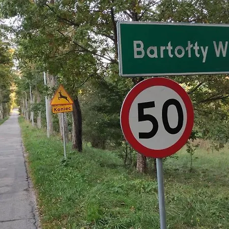 Nad Jeziorem W Otulinie Lasu
