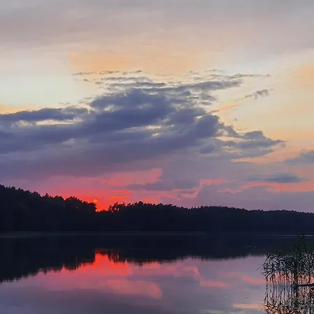 Nad Jeziorem W Otulinie Lasu