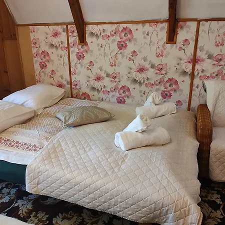 Nad Jeziorem W Otulinie Lasu Holiday home