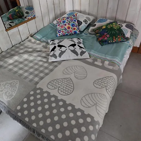 Nad Jeziorem W Otulinie Lasu