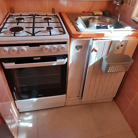 Nad Jeziorem W Otulinie Lasu